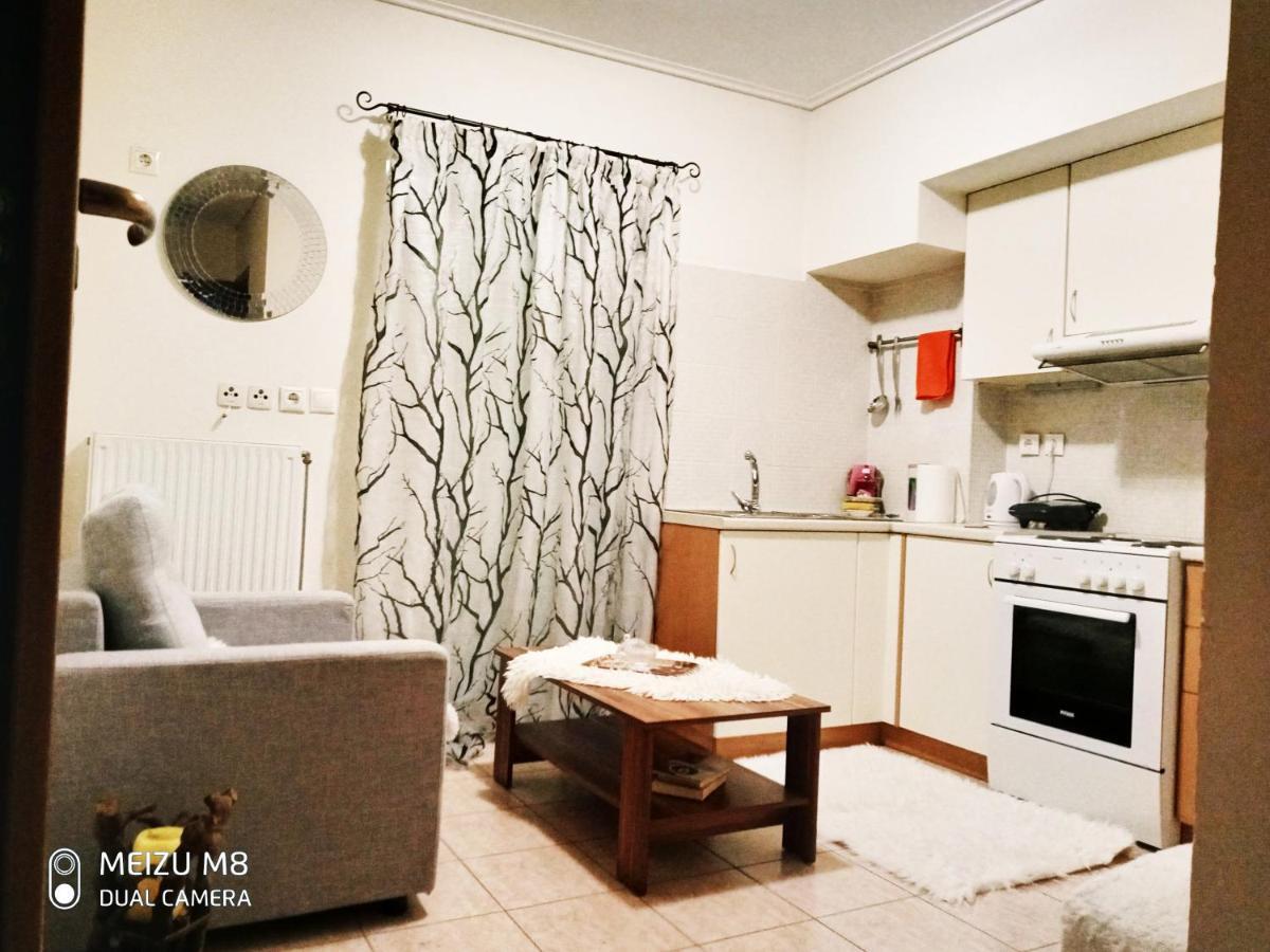 Φωτεινό Διαμέρισμα Πειραιας Apartment Piraeus Luaran gambar